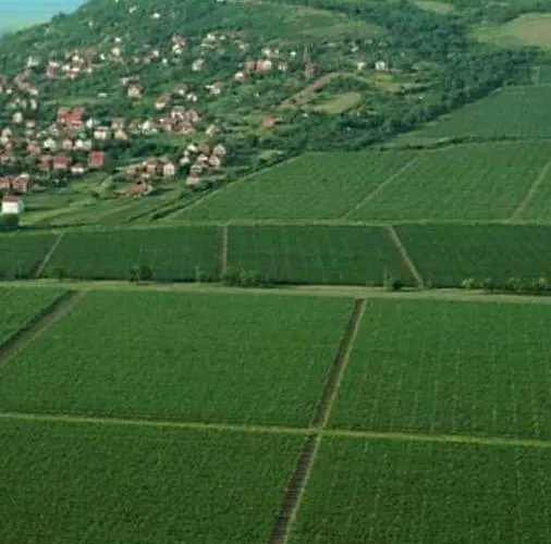 Appartement Hulk Vrsac